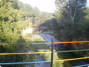 Río Ega Río Ega